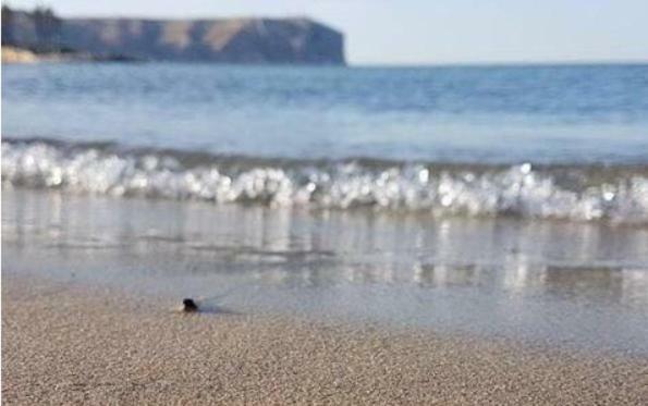 Acogedor Y Precioso Atico En Javea Primera Linea Playa Экстерьер фото